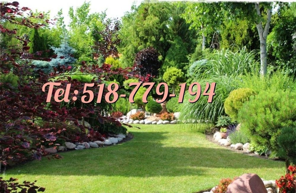 Usługi ogrodnicze, ogrodnik, grabienie liści, porządki,przycinanie tui