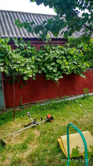 Земельна ділянка для будівництватва будинку та присадибна ділянка