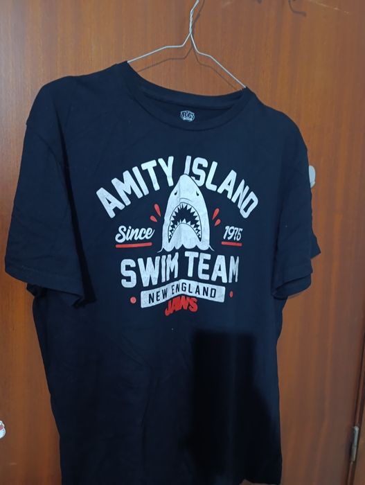 Conjunto de T-shirts e Camisas Sociais L (bom estado)