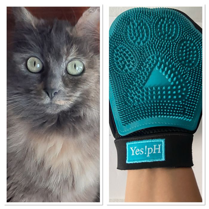 Luva para escovar gatos ou cães pequenos | sem uso