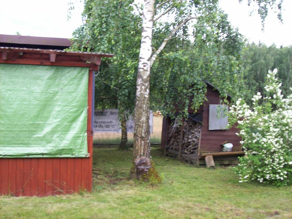 działka na Orzechówku z domkiem całorocznym i z prawem zabudowy - Widok 5