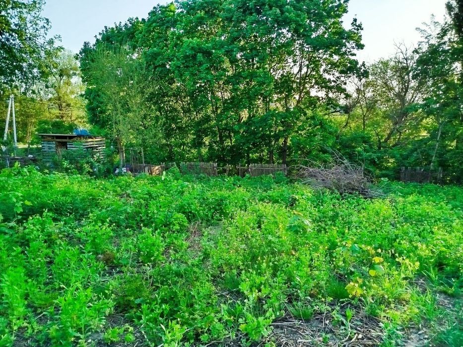Продаж ділянки від власника - View 5