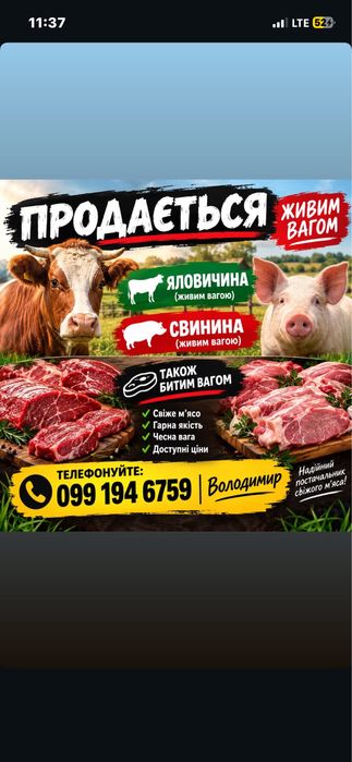 Продам свинину живу 105 гр