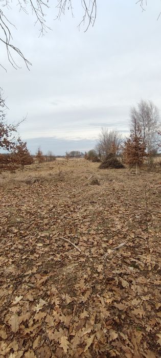 Земельна ділянка С. Раківчик Коломия