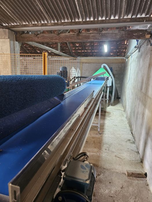 Calibradora de Fruta