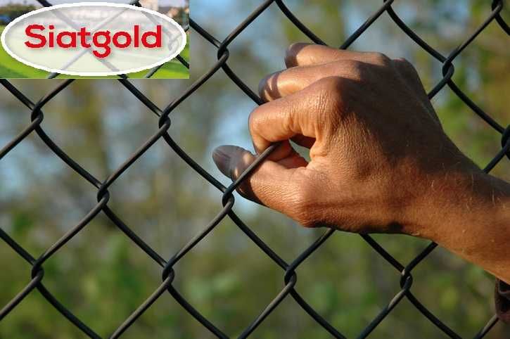 Siatka Leśna Ceny PRODUCENTA tylko 160 zł za 50mb z WYSYŁKĄ Ocynkowana