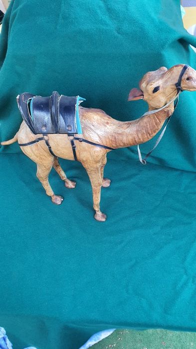 Верблюд   кожа большой