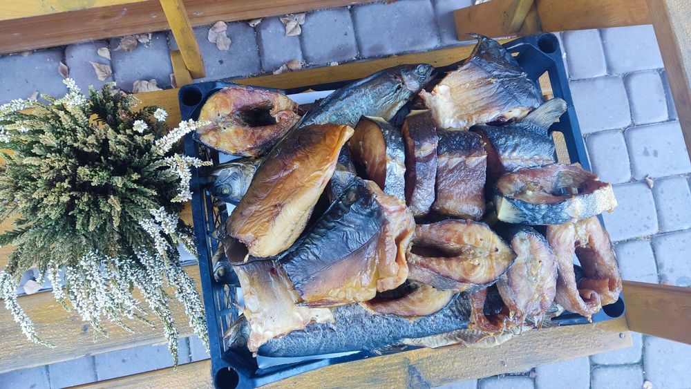 Pstrąg karp jesiotr łosoś sum wędzony z przydomowej hodowli