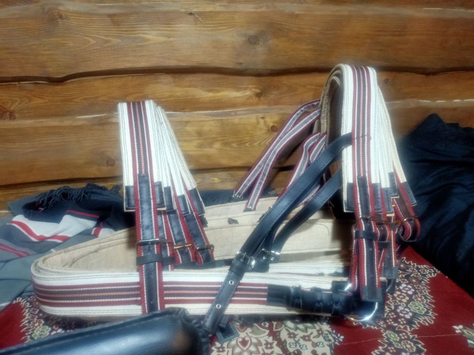 Шлея, упряж на коней