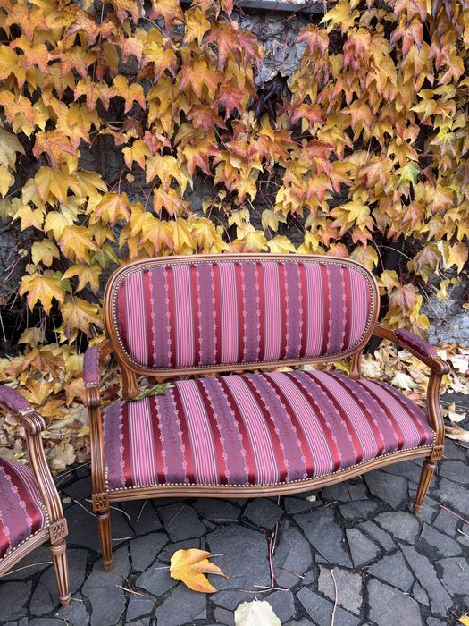 Антикварний набір меблів в стилі Людовика