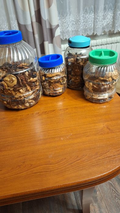 Grzyby suszone sprzedam