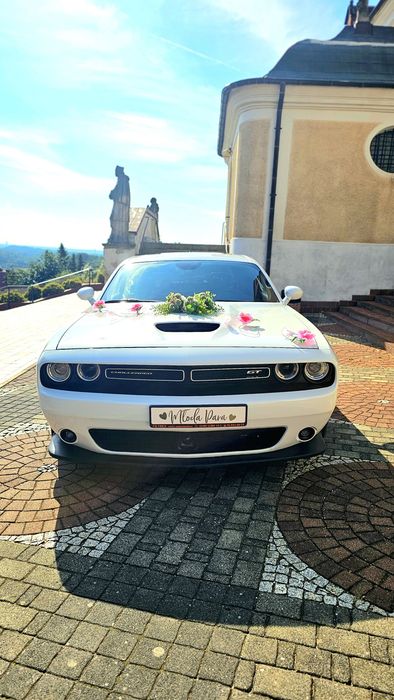 Wynajem auta do ślubu Dodge Challenger Durango