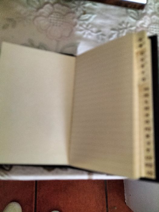 Agenda telefónica em pele, papel e prata