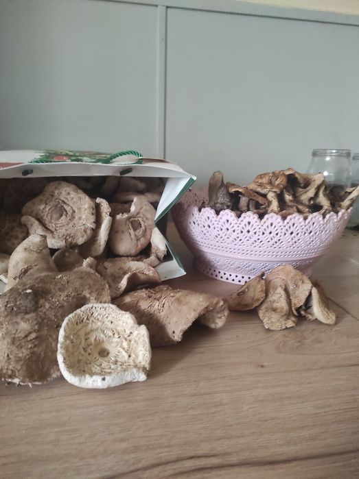 4 kg suszonych prawdziwki podgrzybki kozaki mieszanka