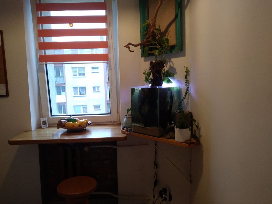 Zamienię kawalerkę 32m2 na większe. Możliwa sprzedaż.