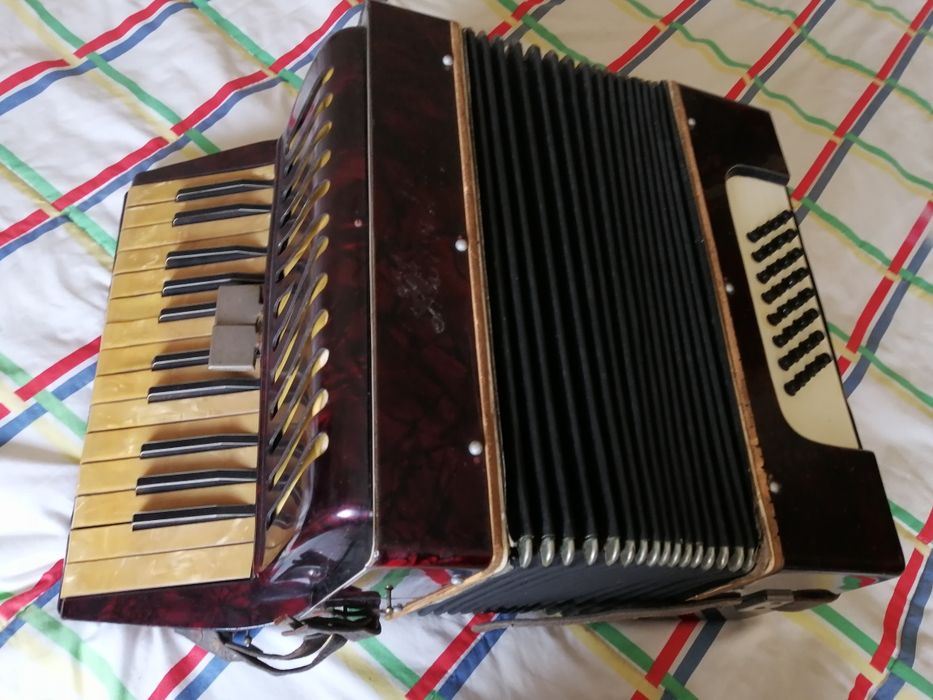 Acordeon. Acordeão