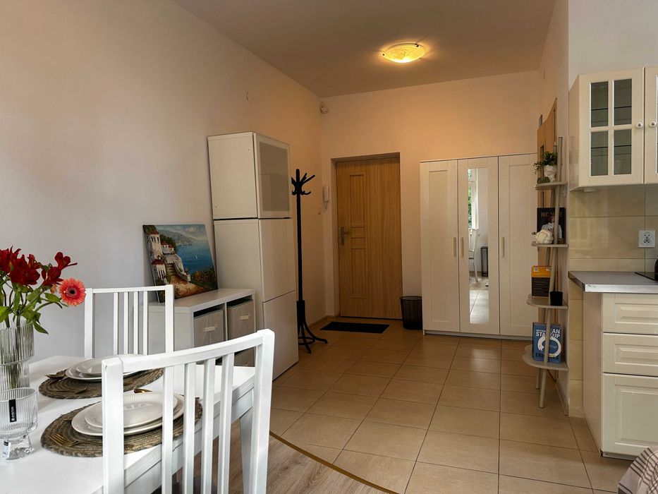 Studio 27 m² Zabytkowy Budynek Prywatny Park + Parking - View 4