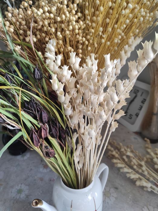 Сухоцветы  квіти та трави    Сухоцвіти