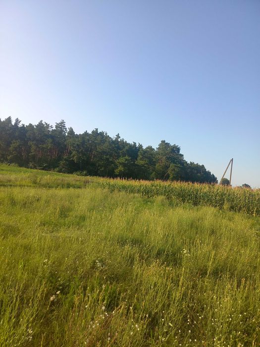 Земельна ділянка під забудову.с.Гланишів