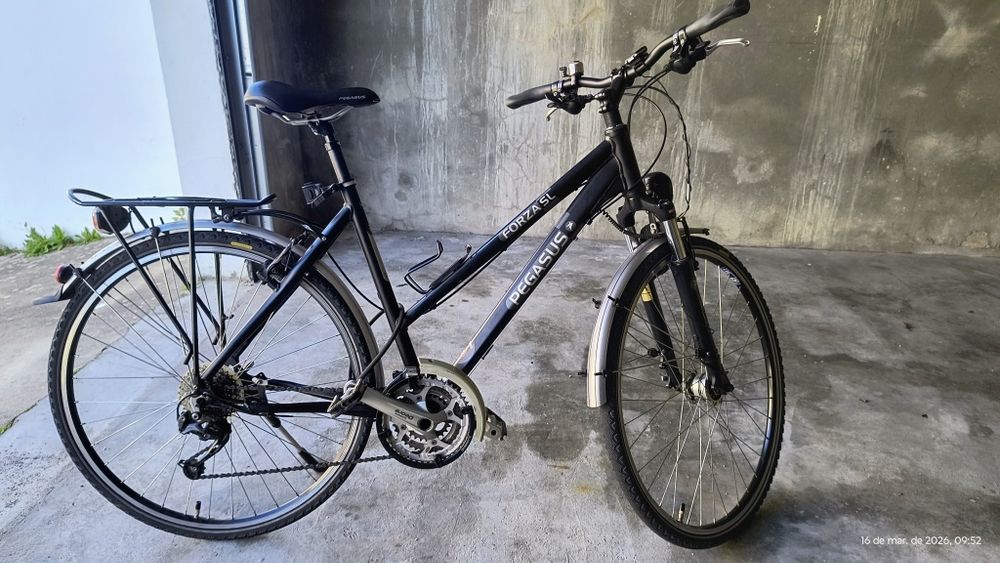 Bicicleta Pegasus (Alemanha)