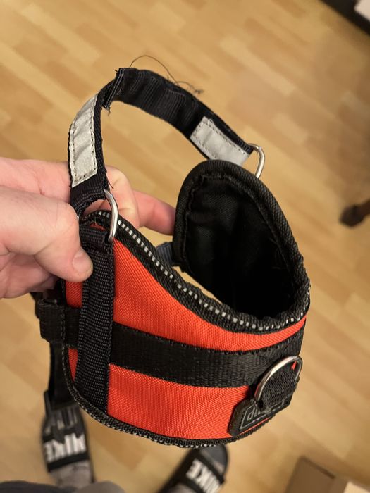 Zestaw dla szczeniaka