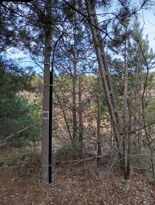 Działka, las i WARUNKI ZABUDOWY, Moszczona Pańska