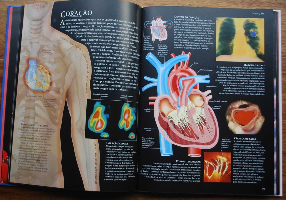Guia do Corpo Humano (Uma Viagem Fotográfica Através do Corpo Humano)