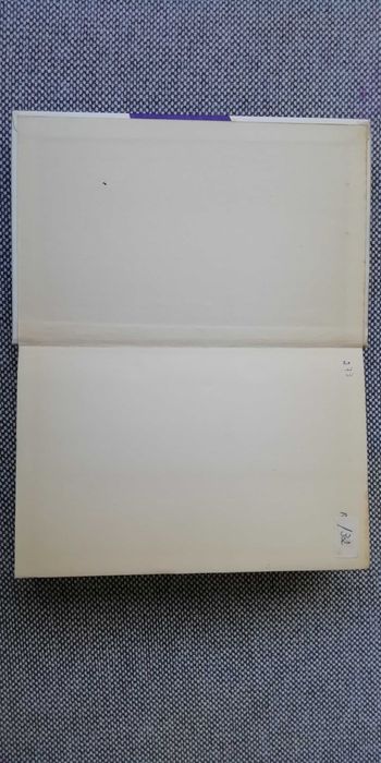 Livro Patrão Bento de Aleixo Ribeiro