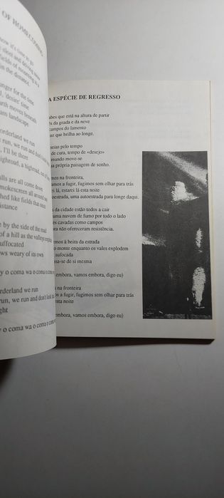 A Chama Sagrada, Poemas dos U2 (1988)