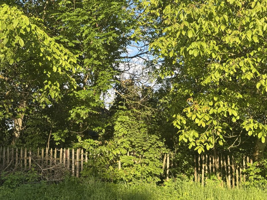 Продаж глиноб. будинку, 25 сот.с. Давидківці вул. Сонячна