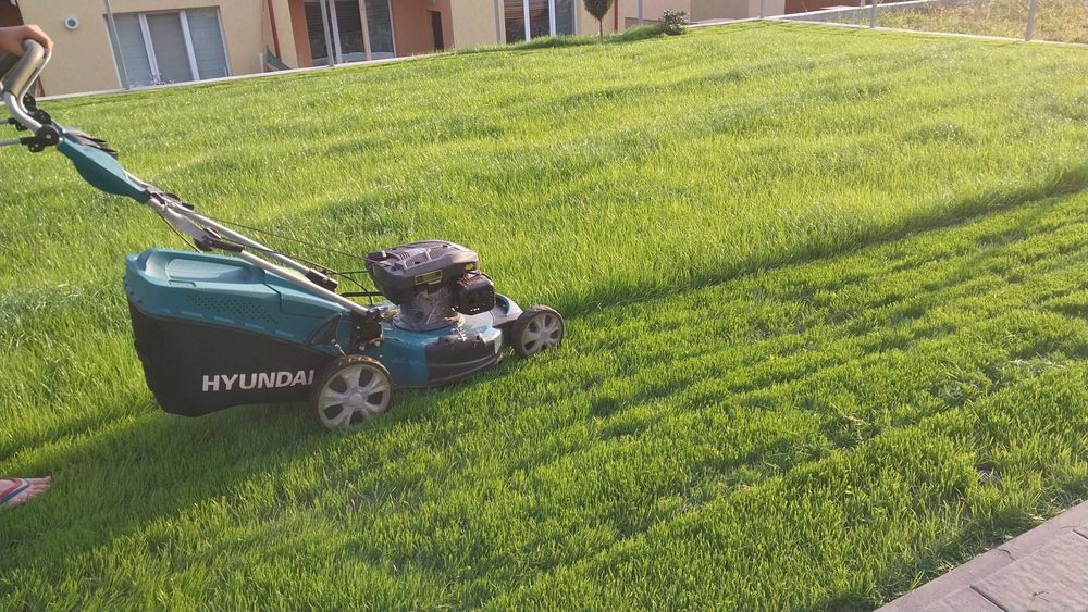 Рулонний газон, посів газону, автополив