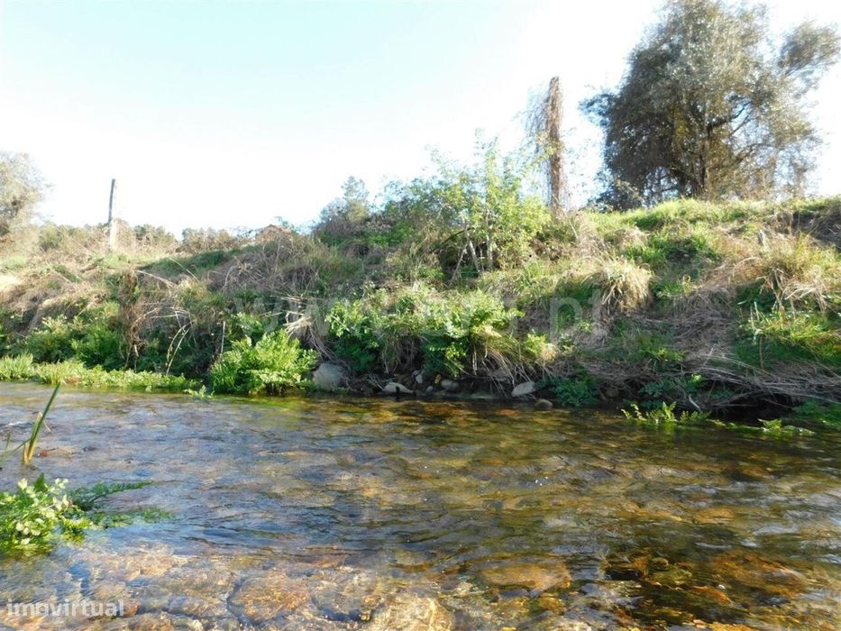 Terreno / Fundão, Castelejo