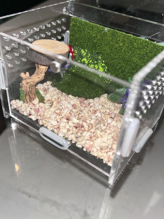 TANIO Terrarium  dla zwierząt NA ZAMOWIENIE skakun, ptasznik itd
