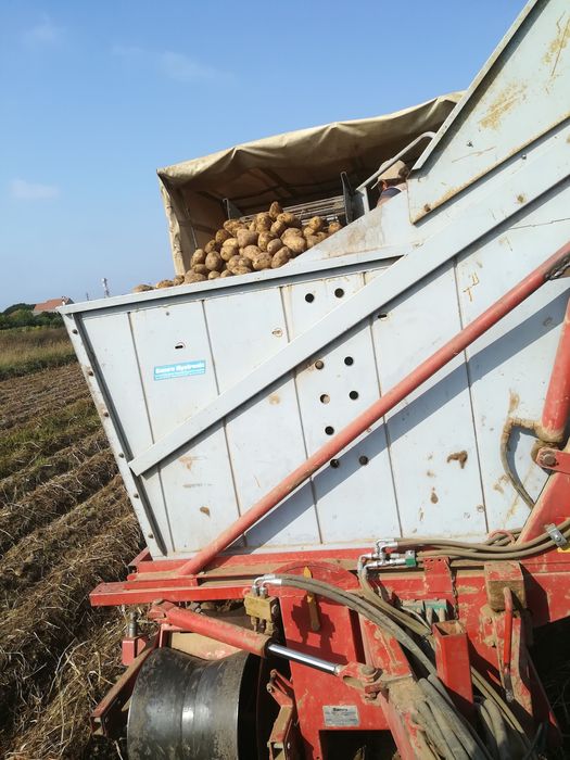 Máquina de arrancar batatas samro