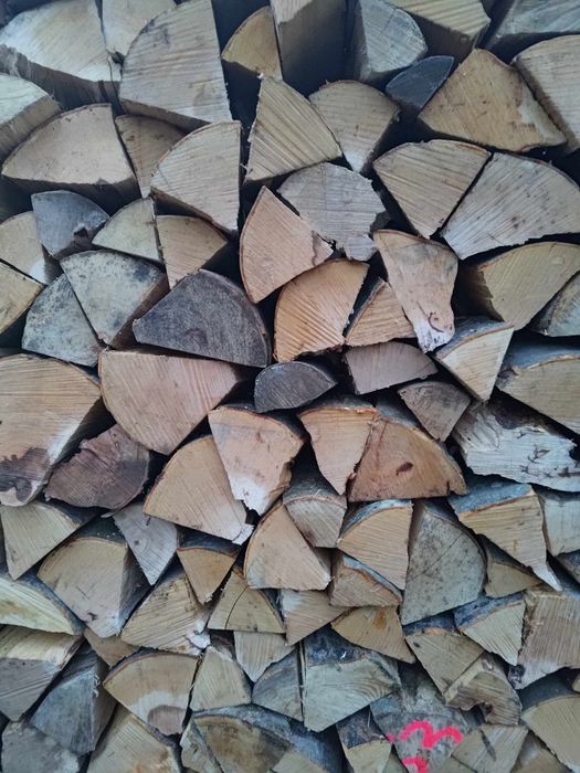 Drewno kominkowe opałowe