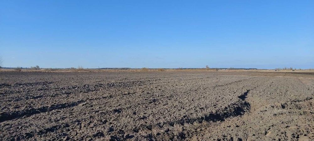 Комерційна пропозиція!  Синяк, 7.6 га, ОСГ.  Біля води