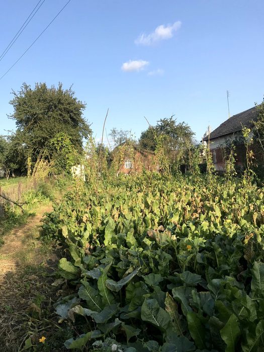 Будинок житловий