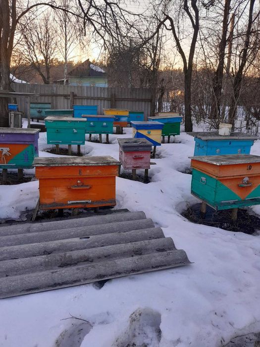 Продам вулики  б/у у хорошому стані