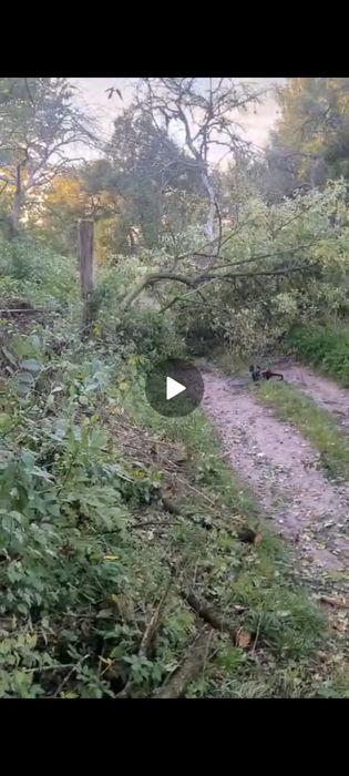 Розчистка земельних ділянок, зрізання дерев,самовивіз