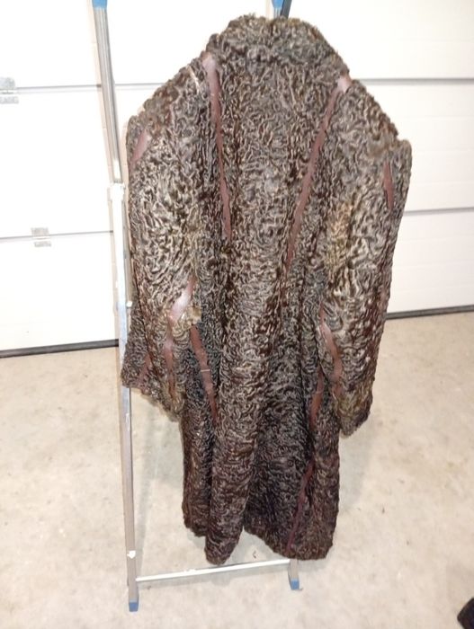 Futro naturalne z karakuł