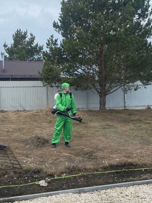 Травля тараканов срочно дезинсекция от тараканов уничтожение тараканов