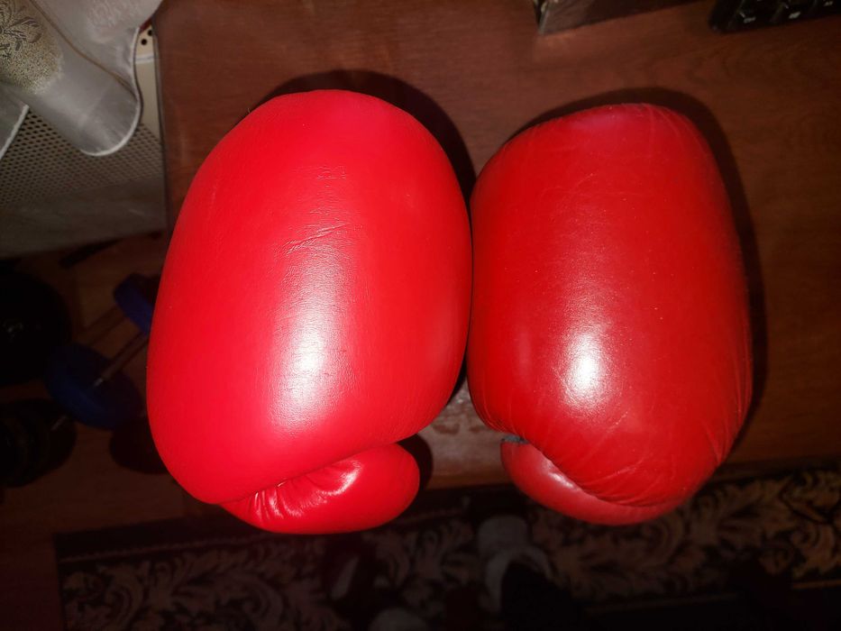 Боксерські рукавиці Everlast i Reyvel