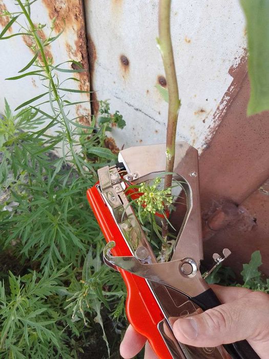 Набор для подвязки винограда, степлер, тапенер Tapetool, Тайвань