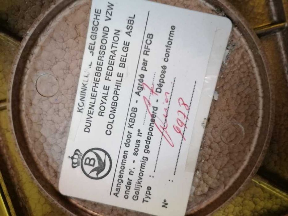 Relógio de constatação de pombos holandês