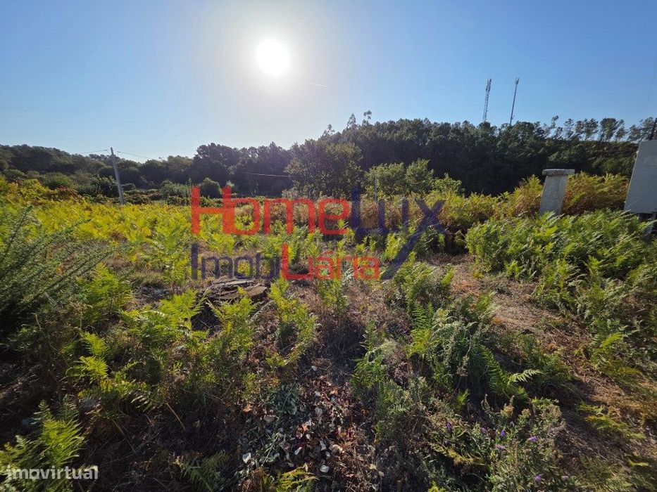 Terreno com viabilidade de construção — Castro Daire, Viseu