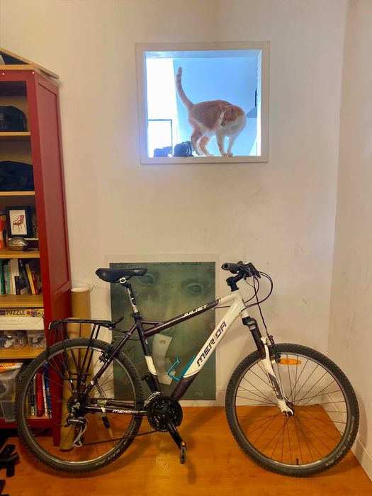 Bicicleta Merida Juliet tamanho 50, roda 26