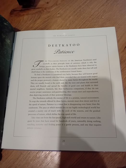 The World of Fairies - Gossamer Penwyche