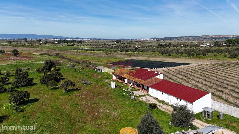 Terreno Misto T3 Venda em Carregueira,Chamusca