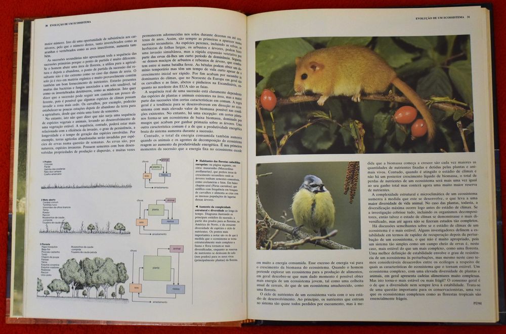 Animais de Todo o Mundo: Ecologia Animal