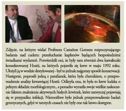 102 Cuda Eucharystyczne z całego świata - folderek drukowany